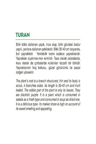 Agrodal Tarım Ata Tohumu Yerli Mor Reyhan Turan 1000 Adet Tohum