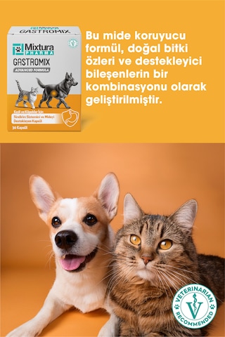 Mixtura Pharma Gastromix Mide Ve Sistemini Kedi Ve Köpek Mide Koruyucu