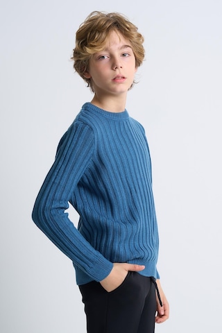 Alexandergardı Desenli Uzun Kollu Triko Çocuk Kazak Mavi