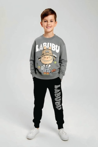 Labubu Desenli Erkek Çocuk Gri Renk Eşofman Takım Gri