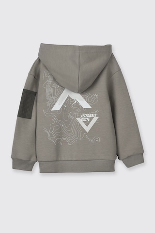 Panço Erkek Bebek Kapüşonlu Antrasit Sweatshirt Gri 2521BB08016