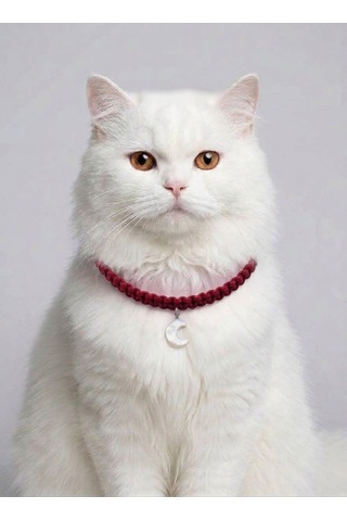 Kırmızı El Örgüsü Makrome Kedi Tasması 27 Cm - Ay Figürlü Charm Şık Kedi Boyun Tasması
