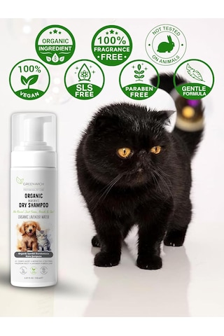 Ayrex Greenwich Köpek Ve Kedi İçin Durulamaya Gerek Olmayan Lavanta Özlü Temizleme Köpüğü, 150 Ml