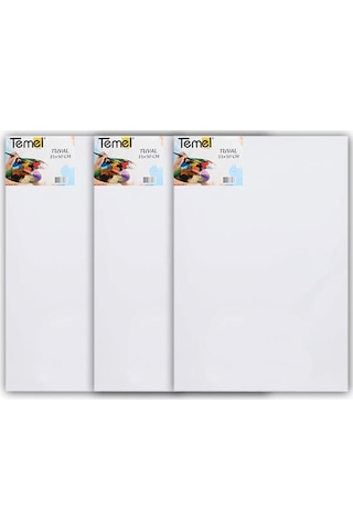 Temel 35x50 Cm 3 Lü Tuval