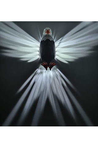 Xianwen Kartal Şeklinde Renkli Dekoratif Gece Lambası / Aplik Beyaz - Siyah