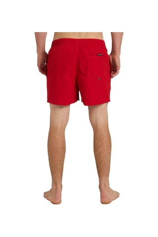 Quiksilver Everyday 15 Erkek Deniz Şortu Kırmızı