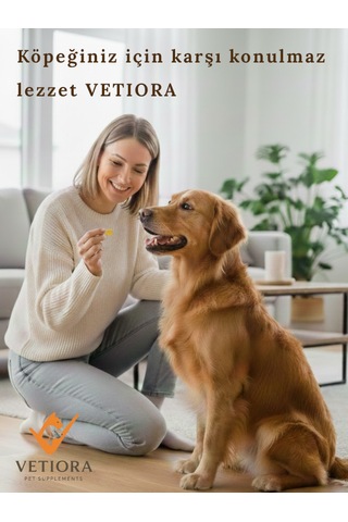 Büyük Irk Köpekler İçin Ödül Bisküvisi, Eğlenceli, Daha Konsantre Ve Lezzetli Eğitim, 200gr
