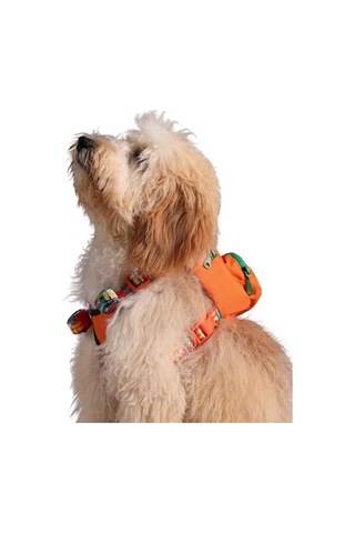 Pawlook Design, Gimme Five, Turuncu Çantalı Göğüs Tasması,köpek Sırt Çantası Göğüs Tasması İşlevli,
