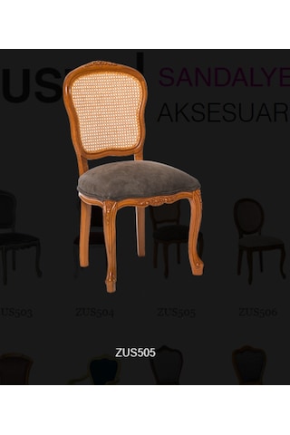 Bengimobilya Zus505 Hasır Sırt Model Sağlam Avangart Aslan Ayak Sandalye Gri D