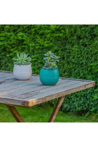 Serinova Elvan Kaktüs Saksısı 0.13 Lt 40581268