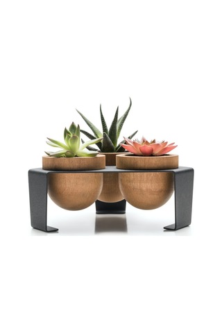 Halohope Metal Stantlı 3'lü Skulent Saksısı Siyah Saksılık