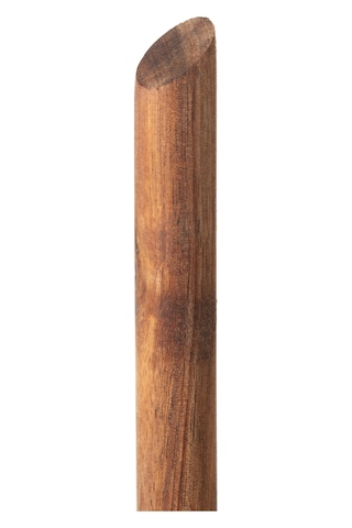 Mudo Home Kağıt Havluluk Akasya 32cm 696123