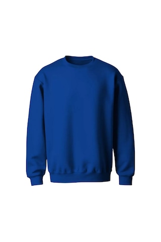 Erkek Bisiklet Yaka Relax Fit Kalıp 2 İplik Mevsimlik Baskısız İnce Sweatshirt Ekru