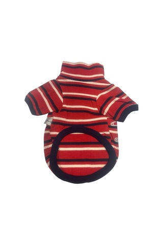 Toy Teddy Esnek, Küçük Köpek Triko Sweatshirtü