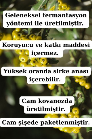 Alıç Sirkesi 250 Ml- Doğal Fermantasyon Alıç Sirkesi Geleneksel