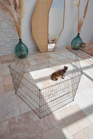 Pet Pretty Köpek Tel Bahçe Çiti Orta Boy (6 x 60x54 Cm)