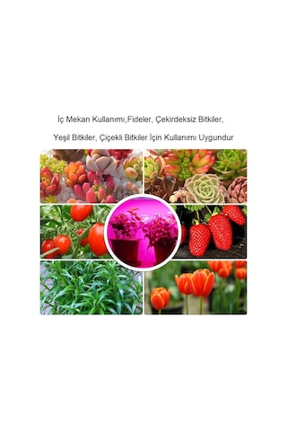 Plentiful Ev Bitkileri İçin Tam Spektrum Grow Led Şerit Usb 2m Pembe