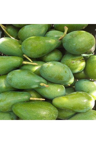 Clifton Avokado 1 KG