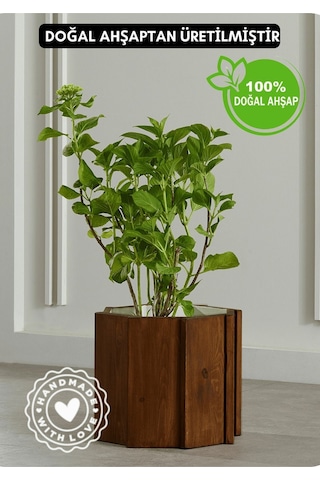 Halohope El Yapımı Doğal Ahşap Büyük Dekoratif Modern Kaliteli Bahçe Balkon Saksı Saksılık Stant Çiçeklik