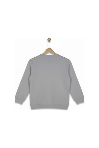 Baglan Erkek Çocuk Önü Baskılı Sweatshirt Bgl-st05235 Gri