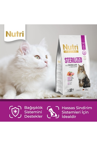 Nutri Feline Somonlu Kısırlaştırılmış Yetişkin Kedi Maması 10 KG