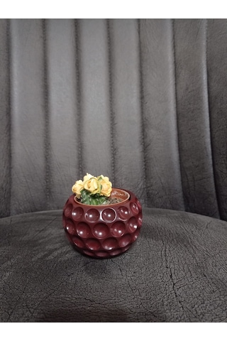 Mini Saksı Ve Kaktüs Seti Bordo