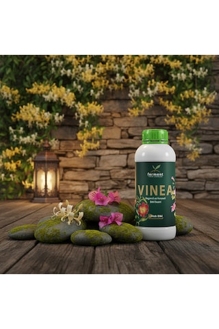 Vinea İkili 250 Ml 2 Adet Dış Mekan Süs Bitkisi Besini - Begonvil Ve Hanımeli İçin Hızlı Büyüme 250 ML
