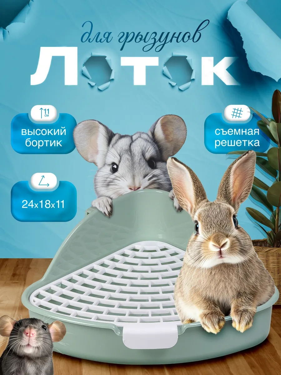 Kemirgen Tepsisi Ve Tavşan Tuvaleti 338723545