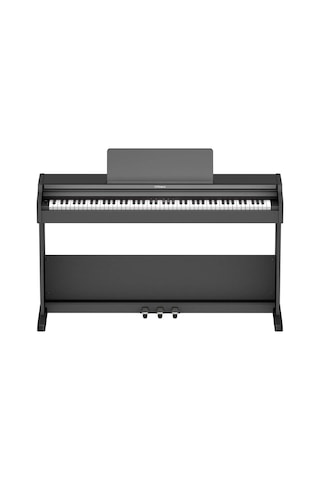 ROLAND RP107-BKX SuperNATURAL Siyah Dijital Duvar Piyanosu (Tabur
