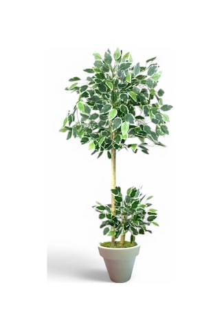 130 Cm Ficus Yapay Ağaç Bambu 2 Gövdeli Beyaz Plastik Saksı Yeşil