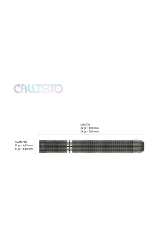 Winmau Callisto 1 %90 Tungsten Çelik Uçlu Dart Oku
