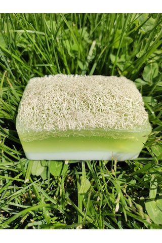 Doğal Kabak Lifli Sütlü Aloe Vera Sabun