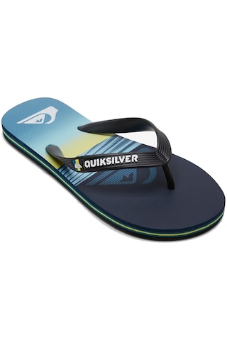 Quiksilver Molokaı Art Youth Renkli Renkli Çok Renkli