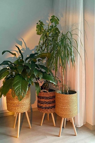 3'lü Zigon Sehpa Seti Saksılık Ve Çiçeklik Standı, Dekoratif Yan Sehpa Ahşap Ayaklı 33 Cm Çap - Atlantik Çam Atlantik Çam