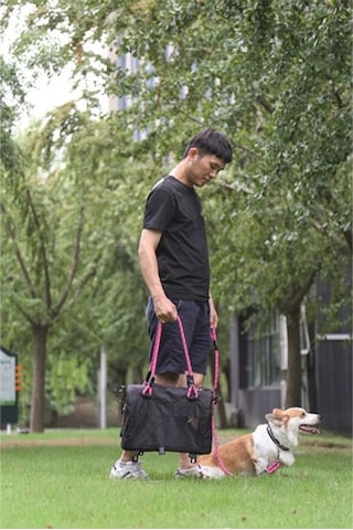 M-Pets 2in1 Remix Omuz Kemerli Kedi Küçük Irk Köpek Taşıma Çantası Pembe Siyah 41 x 28 x 28 CM