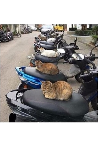 Pcx Nmax Sym Vb Modelleri Uygun Scooter Universal Motosiklet Siyah Sele Kılıfı Motor Koltuk Brandası