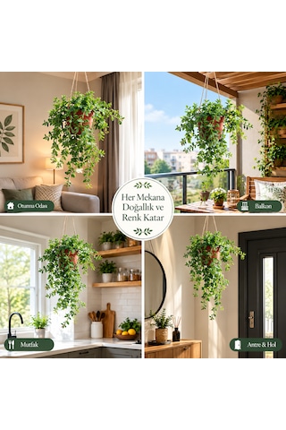 Buz Çiçeği Çiçek Şelalesi Saksıdan Aşağı Sarkan Asma Çiçek Güneş Ve Kuraklığa Dayanıklı Balkon Teras Bahçe