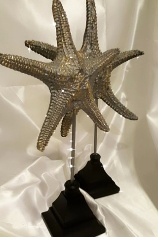 Dekoratif Traverten Zerafet Stone Deniz Yıldızı Biblo 2 Li Ayaklı