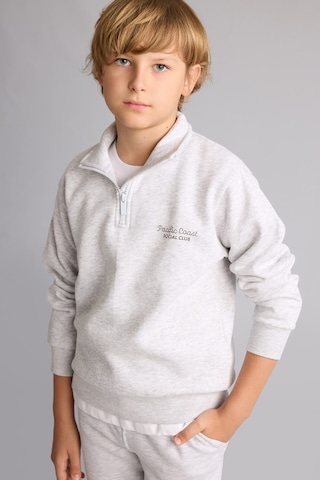 Defacto Regular Fit Yarım Fermuarlı Dik Yaka İçi Yumuşak Tüylü Yazı İşlemeli Sweatshirt Erkek Çocuk H9689a826wngr400 Gri-gr400