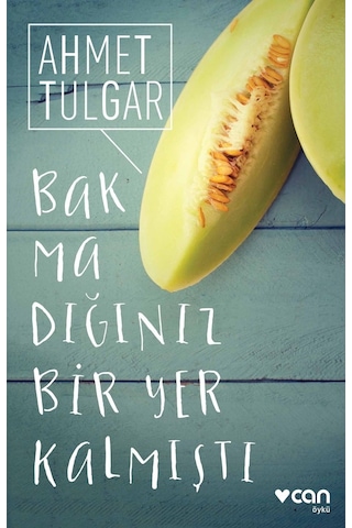 Bakmadığınız Bir Yer Kalmıştı - Ahmet Tulgar - Can Yayınları