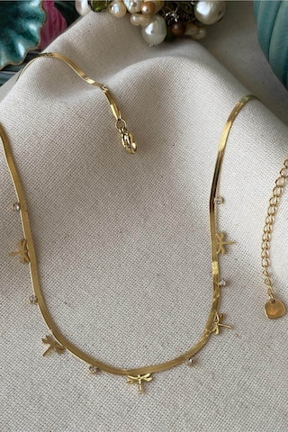 Balenbi Kadın Yusufçuk Figürlü Zirkon Taşlı Gold Renk 40+5 Cm Kararmaz Çelik Kolye 1077 Altın
