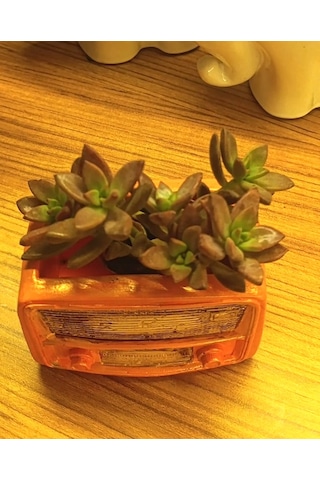 Artepieza Retro Radyo Sukulent Saksısı Ve Kalemlik - Masaüstü Dekoratif Organizer Turuncu 12 8 12cm