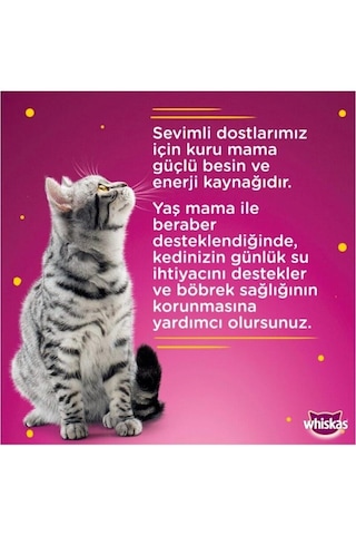 Whiskas Ton Balıklı Yetişkin Kedi Konserve Yaş Maması 24x400 Gr