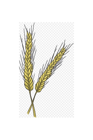 Kappadokia Kızıl Buğday, Spelt Dinkel Unu 1 Kg