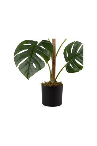 Siyah Saksıda 11 Dal Yapay Monstera Ağacı 105 Cm