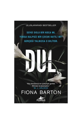 Psikolojik Gerilim Romanları Seti Zanlı & Dul 2'li Set, Pegasus Yayınları Fiona Barton