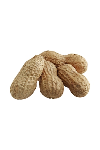 Gürbüzler Kabuklu Yer Fıstığı 250 G