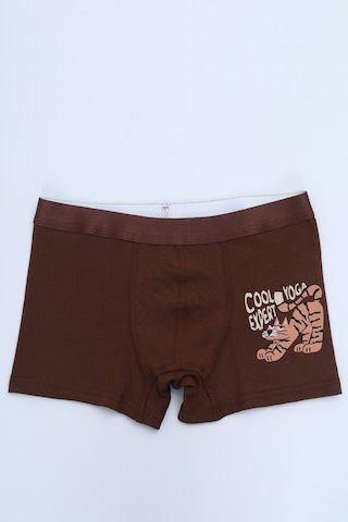 Toontoy Erkek Çocuk Çok Desen Baskılı 4lü Paket Boxer Çok Renkli