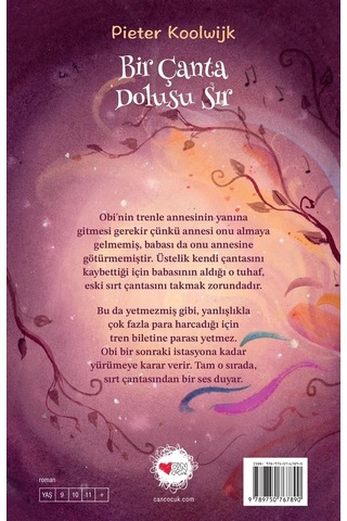 Bir Çanta Dolusu Sır