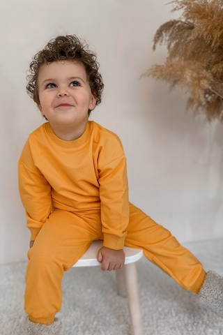 Babywom Basic Mevsimlik Eşofman Takımı- Hardal